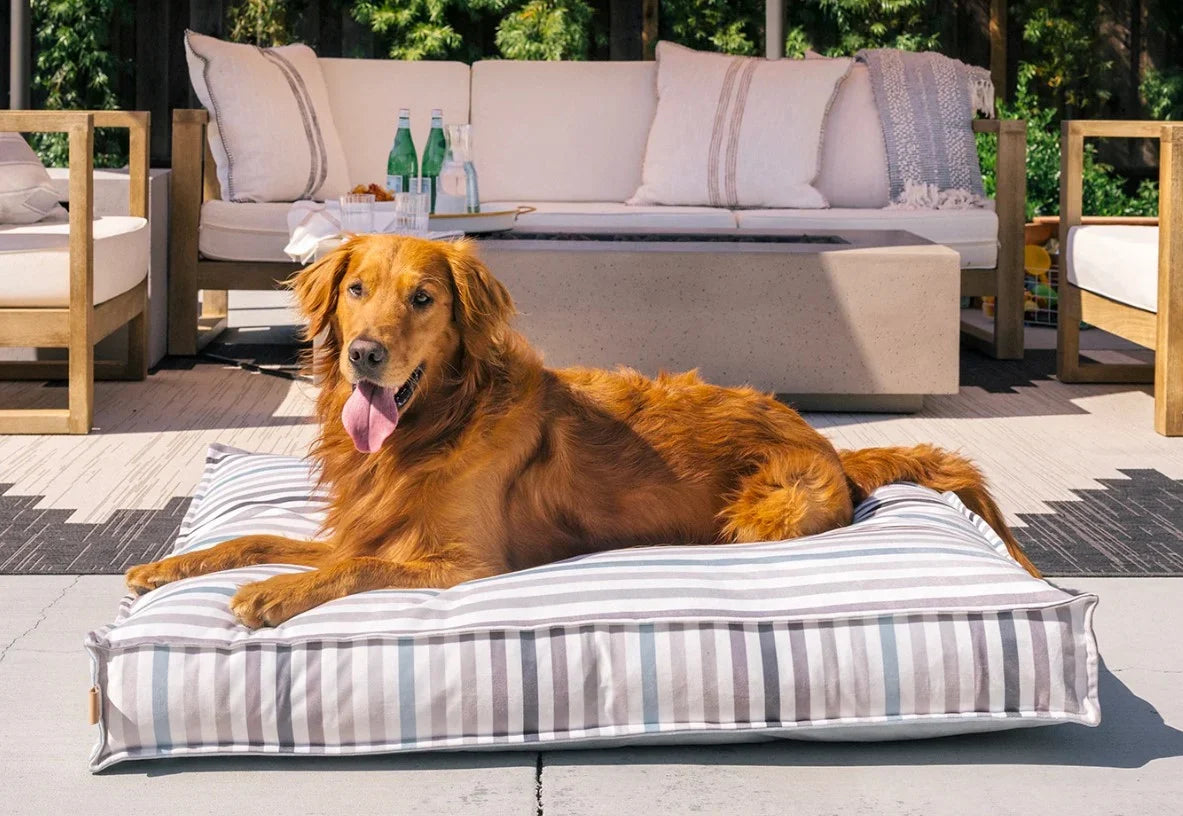 Helping Your Pet Sleep More Comfortably